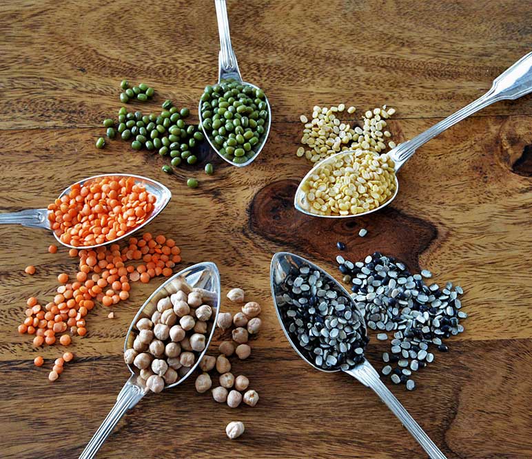 ernaehrung-ayurveda Ernährungsberatung Ayurveda - Ayurvedische Ernährung -